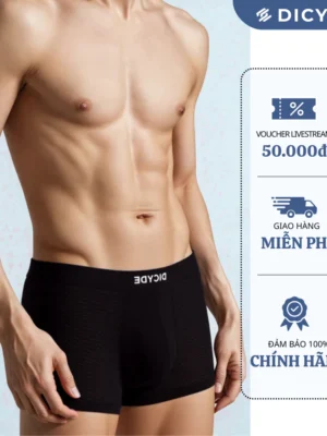 Quần lót nam DICYDE sịp đùi kháng khuẩn cao cấp vải lụa băng tự nhiên 100% thông hơi co giãn 4 chiều