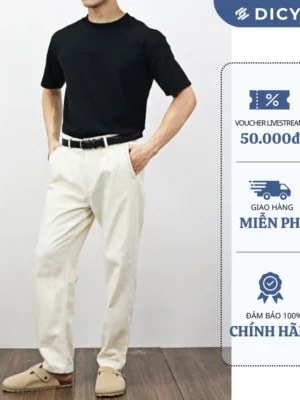 Quần kaki nam DICYDE form suông straight cotton 100% kiểu dáng trẻ trung năng động